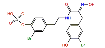 1-O-Sulfohemibastadin 1